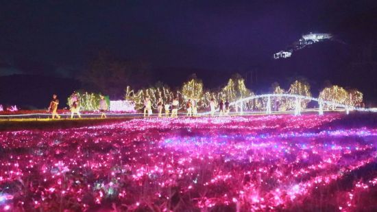 南溪花海景区夜间灯光秀。唐游光 摄 南溪花海景区夜间灯光秀。唐游光 摄